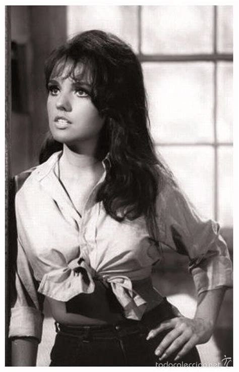 dawn wells sexy pics|The Surprising Body Part Dawn Wells Was Made To。